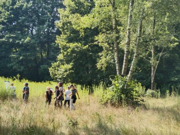 Zajęcia edukacyjne na łące - czyli zapoznajemy się z zapylaczami w ramach Wielkiego Dnia Pszczół, 